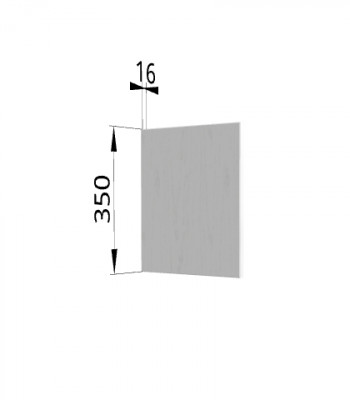 Панель торцевая (для шкафа горизонтального) ПГ Ройс (Графит софт) в Быструхе - bystruha.mebel54.com | фото