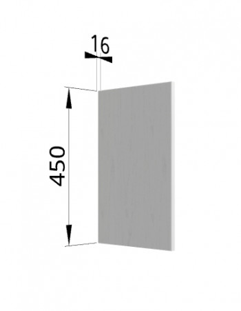 Панель торцевая (для шкафа горизонтального высокого) ВПГ Ройс (Графит софт) в Быструхе - bystruha.mebel54.com | фото